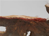 羌頭皮帽藏品圖，第20張